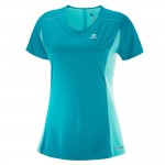 Agile Heather Tee W Dames Shirts & Tops Licht blauw