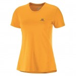 XA Tee W Women Shirts & Tops Oranje
