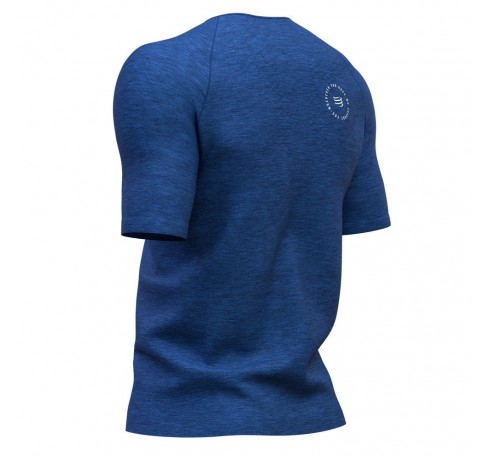 Compressport Training T shirt Mont Blanc Men Shirts & Tops Blauw