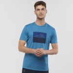 Agile Graphic Tee M Heren Shirts & Tops Blauw