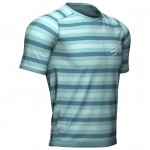 Compressport Performance SS TShirt M Men Shirts & Tops Blauw