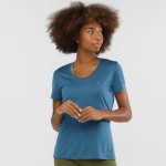 Agile SS Tee W Women Shirts & Tops Blauw