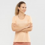 Agile SS Tee W Women Shirts & Tops Roze  