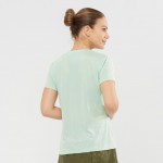 Agile SS Tee W Women Shirts & Tops Groen