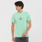 Salomon Cotton Tee M Heren Shirts & Tops Groen