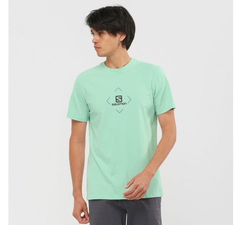 Salomon Cotton Tee M Men Shirts & Tops Groen