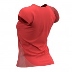 Compressport Performance SS TShirt W Women Shirts & Tops Roze  