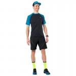 Dynafit Alpine Shorts Men Uni Broeken Zwart