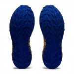 Asics Gel-Trabuco 9 M Men Shoes Blauw
