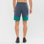 XA Training Short M Men Trousers & Shorts Blauw-groen
