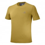 XA Trail Tee M Men Shirts & Tops Bruin