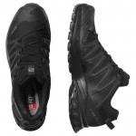 XA Pro 3D v8 GTX W Women Shoes Zwart