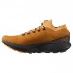 Pulsar Trail Pro M  Shoes Oranje