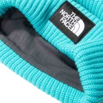 Salty Lined Beanie  Accessoires Turquiose