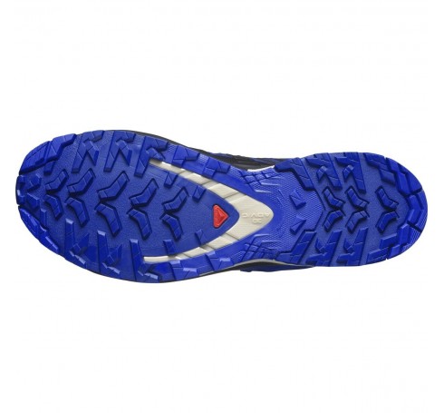 XA Pro 3D V9 GTX M Men Shoes Blauw