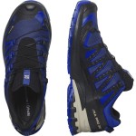 XA Pro 3D V9 GTX M Men Shoes Blauw