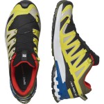 XA Pro 3D V9 GTX M Men Shoes Zwart-geel