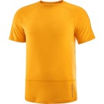 Cross Run SS Tee M Men Shirts & Tops Oranje