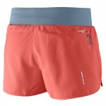 Sense Pro Short W Women Trousers & Shorts Oranje